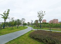 荒地变公园！宝山再添休闲娱乐好去处今年年底正式开放