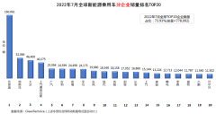 2022年7月全球新能源汽车销量：疯狂的“迪王”