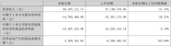 雪莱特上半年营收6848万元，同比预减21.45%