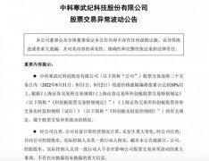 寒武纪：云端智能芯片产品实现大批量销售尚需较长时间周期